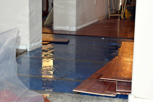 Professional Basement Flooding technician working in Harrington, WA